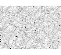 skdhlifpj Papier Peint Panoramique 3d Feuilles De Palmier 300cmx210cm Jungle Tropicale Ligne Noir Et Blanc Feuille Plantain Salon Chambre Adulte Enfant Décoration Tapisserie Murales Mural