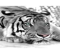 skdhlifpj Papier Peint Panoramique 3d Tigre Noir Et Blanc 400cmx280cm Personnalité Moderne Animal Tigre Salon Chambre Adulte Enfant Décoration Tapisserie Murales Mural