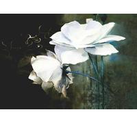 skdhlifpj Papier Peint Panoramique Fleurs Blanc 350cmx245cm 3D intissé Tapisserie Murale Vintage Abstrait Étang Lotus Ligne Salon Chambre Adulte Enfant Décoration Mural