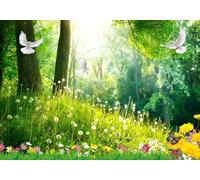 skdhlifpj Papier Peint Pissenlit 3D intissé Tapisserie Murale Nature Fraîche Vert Prairie Pissenlit Fleur Oiseau Volant 400cmx280cm Salon Chambre Adulte Zen Mural