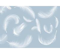 skdhlifpj Papier Peint Plumes 3D intissé Tapisserie Murale Minimaliste Peint À La Main Aquarelle Blanc Plumes Chambre À Coucher Fond Mur 350cmx245cm Salon Chambre Adulte Zen Mural