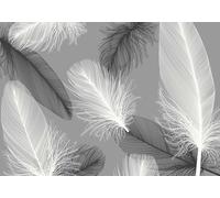 skdhlifpj Papier Peint Plumes 3D intissé Tapisserie Murale Moderne Style Européen Vintage Noir Et Blanc Plumes Fond Mur 350cmx245cm Salon Chambre Adulte Zen Mural
