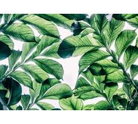 skdhlifpj Papier Peint Tropical 3D intissé Tapisserie Murale Plante Tropicale Minimaliste Immense Mur De Fond De Feuilles Vertes 400cmx280cm Salon Chambre Adulte Zen Mural