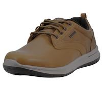 Skechers Delson-Antigo Oxford Chaussures pour Homme, Peau, 42 EU