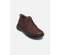 Skechers SLIP-INS Arch Fit Garza - R pour 43 Marron