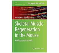 Skeletal Muscle Regeneration In The Mouse