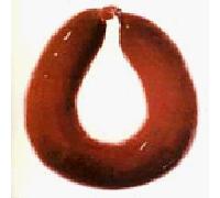 Skeleton Key - Fantastic Spikes Through Balloon