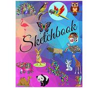 Sketch Book: Sketch Book For Having Fun Through Quarantine, Notebook For Drawing, Writing, Painting, Sketching Or Doodling, 120 Pages, 8.5x11: Blank Drawing Book: Notebook For Sketching With Colorful