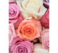 Sketchbook: Beautiful Rose Art Cover - Blank Sketch Drawing Coloring Doodle Book - Premium Laminate Soft Cover - School, Work, Creative Play! - 120 Pages - Large 8.5x11 Inch - Vol 3