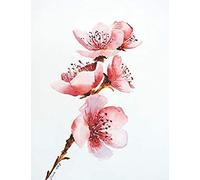 Sketchbook: Perfect For Sketching, Drawing And Painting Soft & Gentle Pink & Red Flowers Beautiful Handmade Watercolor Portrait Cover Artistic Unruled Composition Sketchpad Pretty Blank Sketch