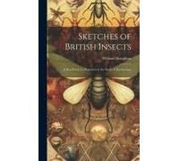 Sketches Of British Insects; A Handbook For Beginners In The Study Of Entomology