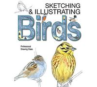 Sketching & Illustrating Birds