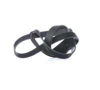 SKF Courroie Poly-V Courroie d'accessoire VKMV 7PK2035 2035mm 24,92mm