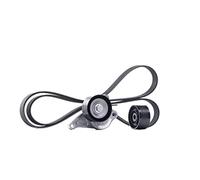 SKF Jeu de courroies trapézoïdales à nervures VKMA 36084 EPDM (éthylène-propylène-diène-caoutchouc)