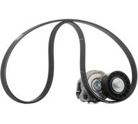 SKF Kit de courroie multi-cannelée VKMA 36244 pour VOLVO S60 II S80 II V60 I