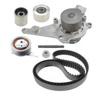 SKF Pompe à eau + kit de courroie crantée VKMC01295-1