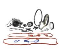 Pompe à eau + kit de courroie crantée SKF VKMC 03306