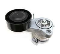 SKF Poulie tendeur de courroie d'accessoire Poulie tendeur VKM 38250