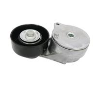 SKF Poulie tendeur de courroie d'accessoire Poulie tendeur VKM 62058