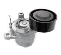 SKF Galet tendeur de courroie d'accessoire VKM 33319