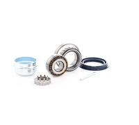 Jeu de roulements de roue SKF VKBA 529