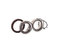 Jeu de roulements de roue SKF VKBA 6700