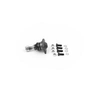 Rotule SKF VKDS 317006