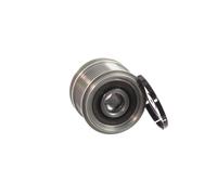 SKF VKM 03829 Poulie débrayable d'alternateur