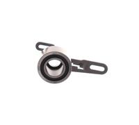 SKF VKM 14301 Galet tendeur de courroie de distribution