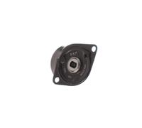 SKF VKM 31030 Poulie, tendeur de courroie d'accessoire