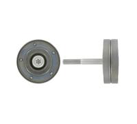 SKF VKM 31221 Kit de Galet Tendeur Multi-V