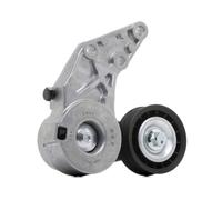 SKF VKM 31231 Poulie, tendeur de courroie d'accessoire