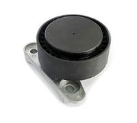 SKF Poulie tendeur de courroie d'accessoire VKM 31338 – Kit de galet enrouleur Multi-V