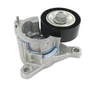 SKF VKM 33019 Kit de galet enrouleur multi-V