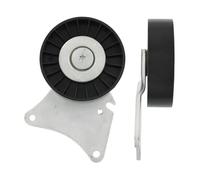 SKF VKM 33026 Galet enrouleur de courroie d'accessoire