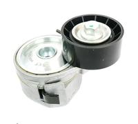 SKF Poulie-tendeur VKM 33032 - courroie trapézoïdale à nervures