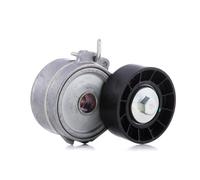 SKF VKM 33033 Poulie, tendeur de courroie d'accessoire