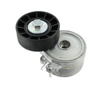SKF VKM 33033 Poulie tendeur de courroie d'accessoire Poulie tendeur Poulie