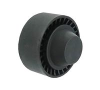 SKF Poulie de renvoi / transmission VKM 33100 pour courroie trapézoïdale à nervures