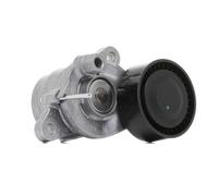 SKF Galet tendeur de courroie d'accessoire VKM 33319