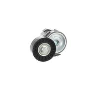SKF VKM 33320 Poulie, tendeur de courroie d'accessoire