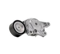 SKF VKM 33329 Poulie, tendeur de courroie d'accessoire