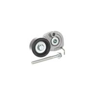 SKF VKM 35260 Poulie, tendeur de courroie d'accessoire