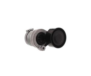 SKF VKM 36146 Poulie, tendeur de courroie d'accessoire