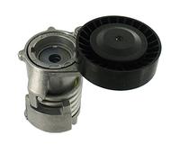 Galet tendeur, courroie d'accessoire SKF VKM 36251