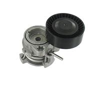 SKF VKM 38302 Kit de galet enrouleur multi-V