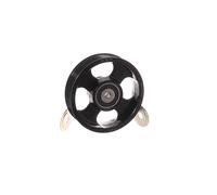 SKF VKM 61022 Galet enrouleur de courroie d'accessoire