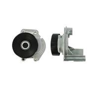 SKF VKM 61026 Kit de Galet Enrouleur Multi-V