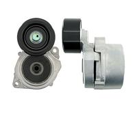 SKF VKM 63010 Poulie, tendeur de courroie d'accessoire