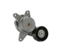 SKF VKM 65025 Poulie, tendeur de courroie d'accessoire